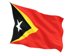 east_timor_fluttering_flag_256