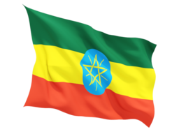 ethiopia_fluttering_flag_256