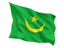 mauritania_fluttering_flag_256