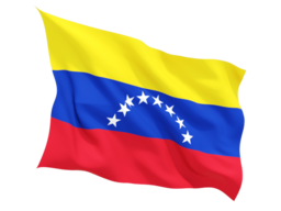 venezuela_fluttering_flag_256