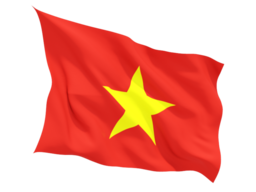 vietnam_fluttering_flag_256